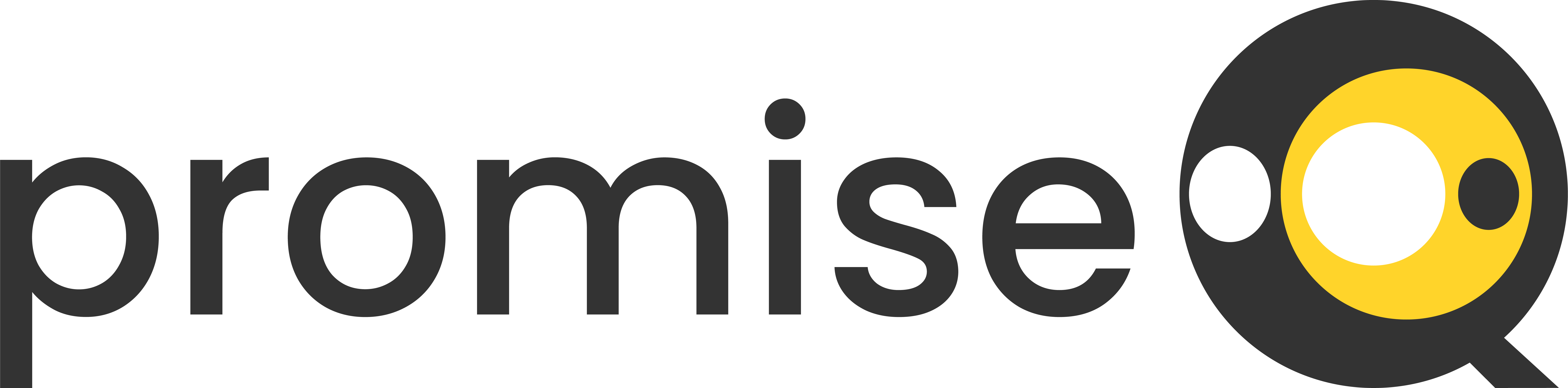 promiseQ_logo (3)